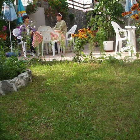 Vila Ana-Maria Sinaia Kültér fotó