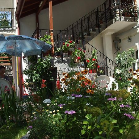 Vila Ana-Maria Sinaia Kültér fotó