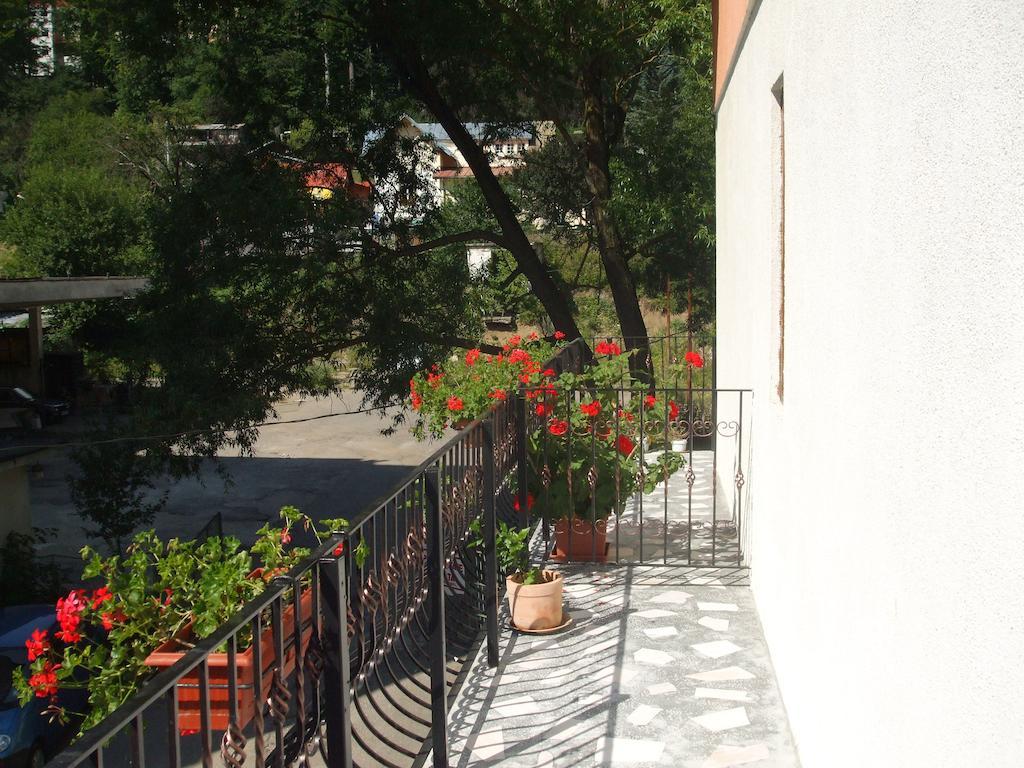 Vila Ana-Maria Sinaia Szoba fotó