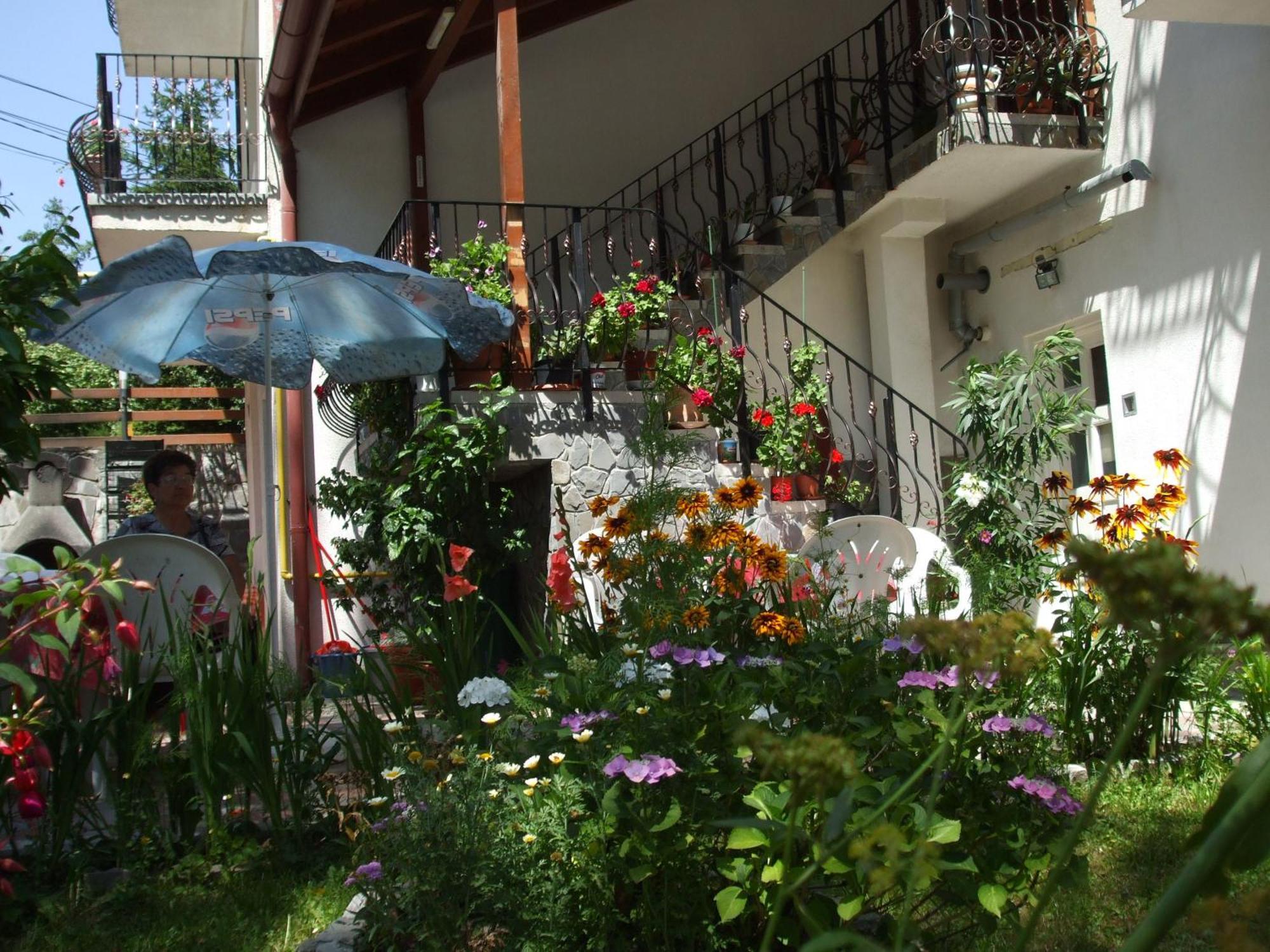 Vila Ana-Maria Sinaia Kültér fotó