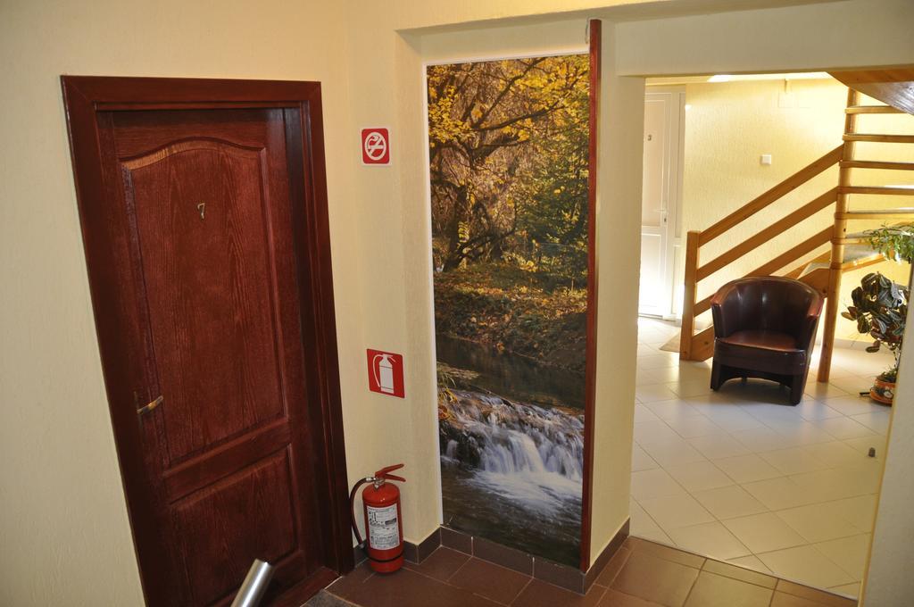 Vila Ana-Maria Sinaia Kültér fotó