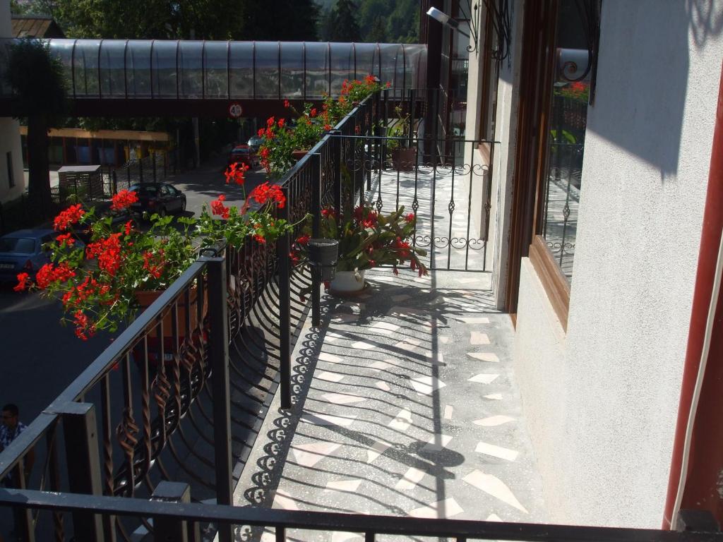 Vila Ana-Maria Sinaia Kültér fotó