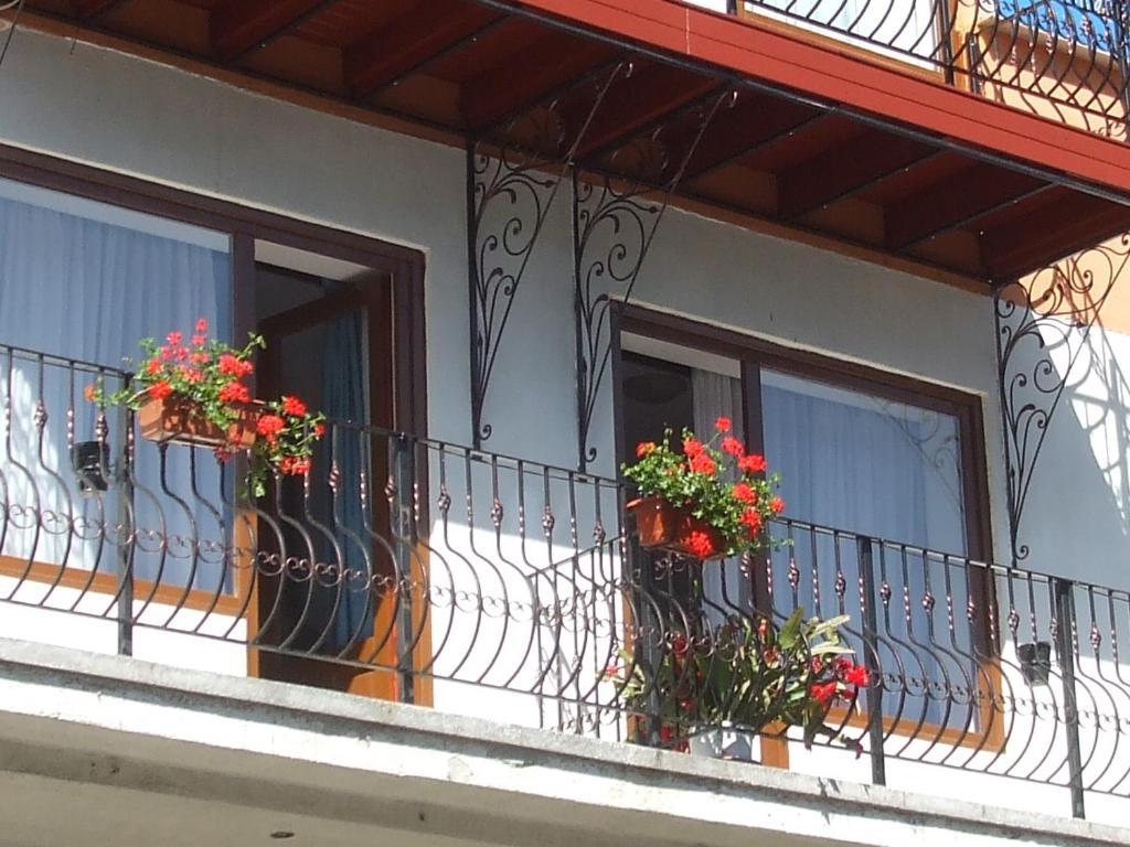 Vila Ana-Maria Sinaia Kültér fotó
